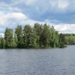 IMG_0055